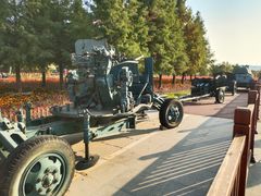 -羊亭河湿地公园