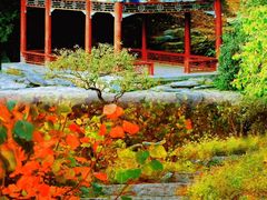 -香山公园