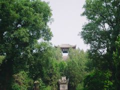 -茂陵博物馆