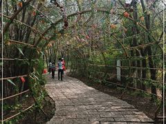 -西青郊野公园