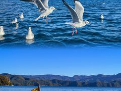 -丽江泸沽湖景区