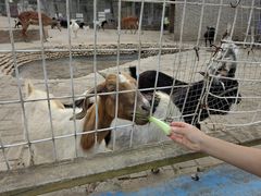 -武汉紫薇都市田园