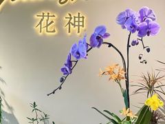 -花神·轻食简餐·咖啡馆·花卉绿植(荷兰花卉小镇店)