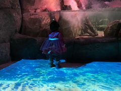 -沈阳海洋探索中心