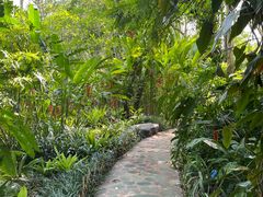 -中国科学院西双版纳热带植物园