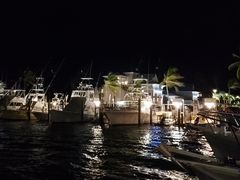 -Wahoo's Seafood Bar and Grill Restaurant