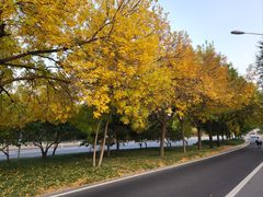 -北京颐和宾馆