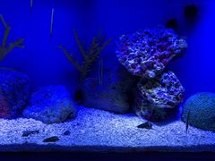 -上海海洋水族馆