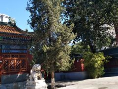 -中央音乐学院歌剧音乐厅