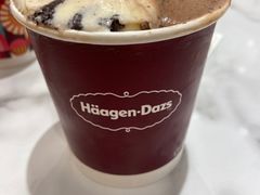 手装品脱冰淇淋二合一口味-哈根达斯(国瑞店)