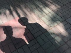 -白沙门生态公园