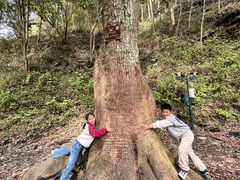 -石台牯牛降景区