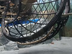 -合肥海洋世界