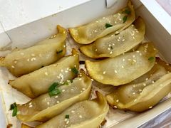 鲜肉锅贴-小姜锅贴(凤凰街店)