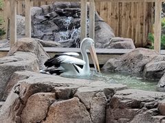 -可伦宾野生动物保护区