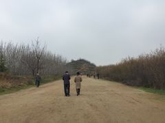 -明秦王墓遗址