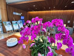 -蓝楹湾度假酒店