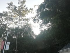 -广州市帽峰山景区