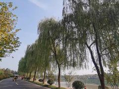 -洨河生态公园