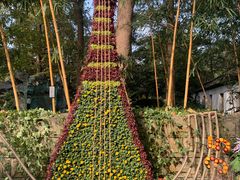 -杭州植物园