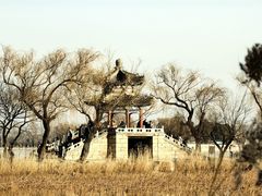 -颐和园