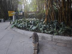 -晓港公园