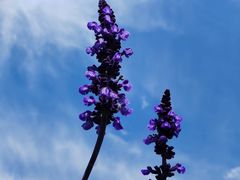 -长春公园(普阳街道)