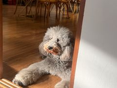 -沏点Trattoria意大利餐厅(新街口店)