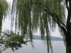 -西湖天地