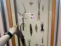 -陕西自然博物馆