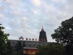-听松楼-中餐厅.家宴(红梅公园店)