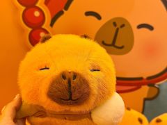 -国家会议中心大酒店