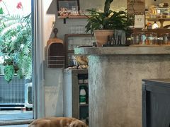 -自由生长植物工作室(深港花卉中心店)