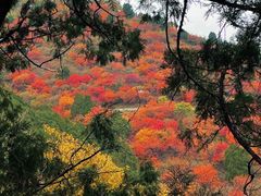 -香山公园