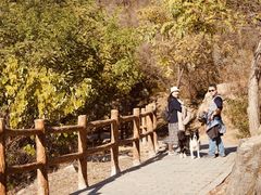 -白水寺森林公园