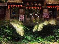 -通灵大峡谷