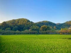 -红山村
