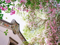 -深圳国际园林花卉博览园