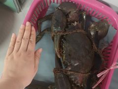 -龙海鲜螃蟹王(宏茂桥店)