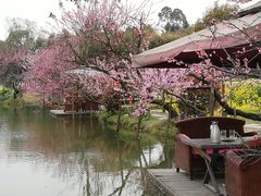-洪湖家庭农场·团建·露营·会议