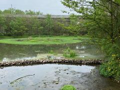 -桤木河湿地公园