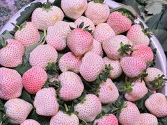 -大观篆新农贸市场
