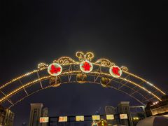 -武汉知音号