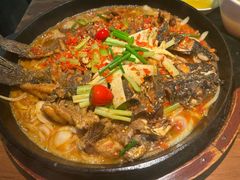 -老板恋上鱼(振华商厦店)