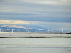 -撒拉人家.酸菜牦牛肉火锅