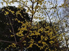 -南京金牛湖风景区