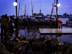 -尼甘布海鲜市场