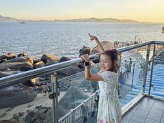 -佳丽海鲜大酒楼(环岛海景店)