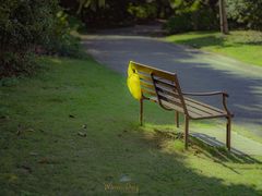 -上海滨江森林公园