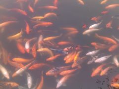 -陈云纪念馆